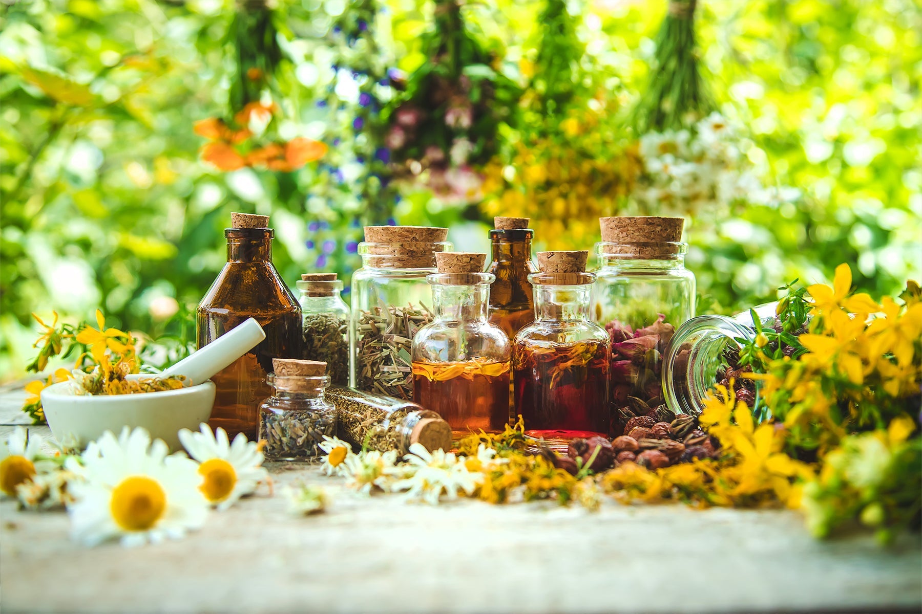 Do You Know All That's Within Nature's Medicine Cabinet?