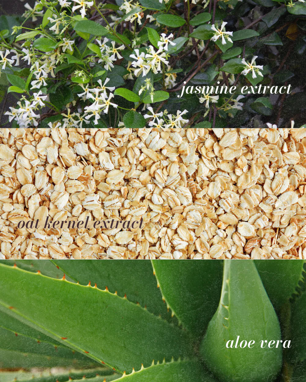 Jasmine Essence Soothing & Hydrating Floral Water